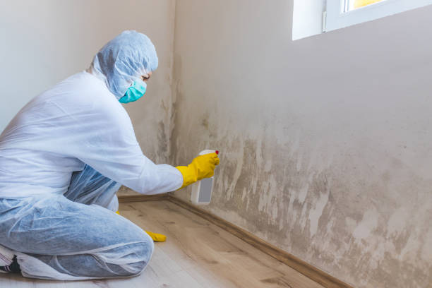 Licensed Commercial Mold Remediation service in Port Monmouth, NJ - WQB Mold Removal