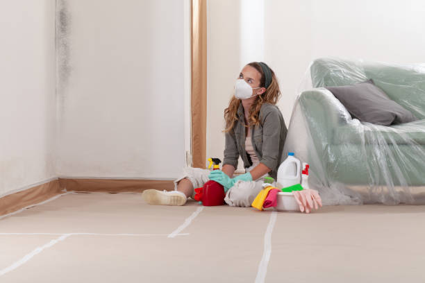 Reliable Commercial Mold Remediation contractor in Port Monmouth, NJ by WQB Mold Removal